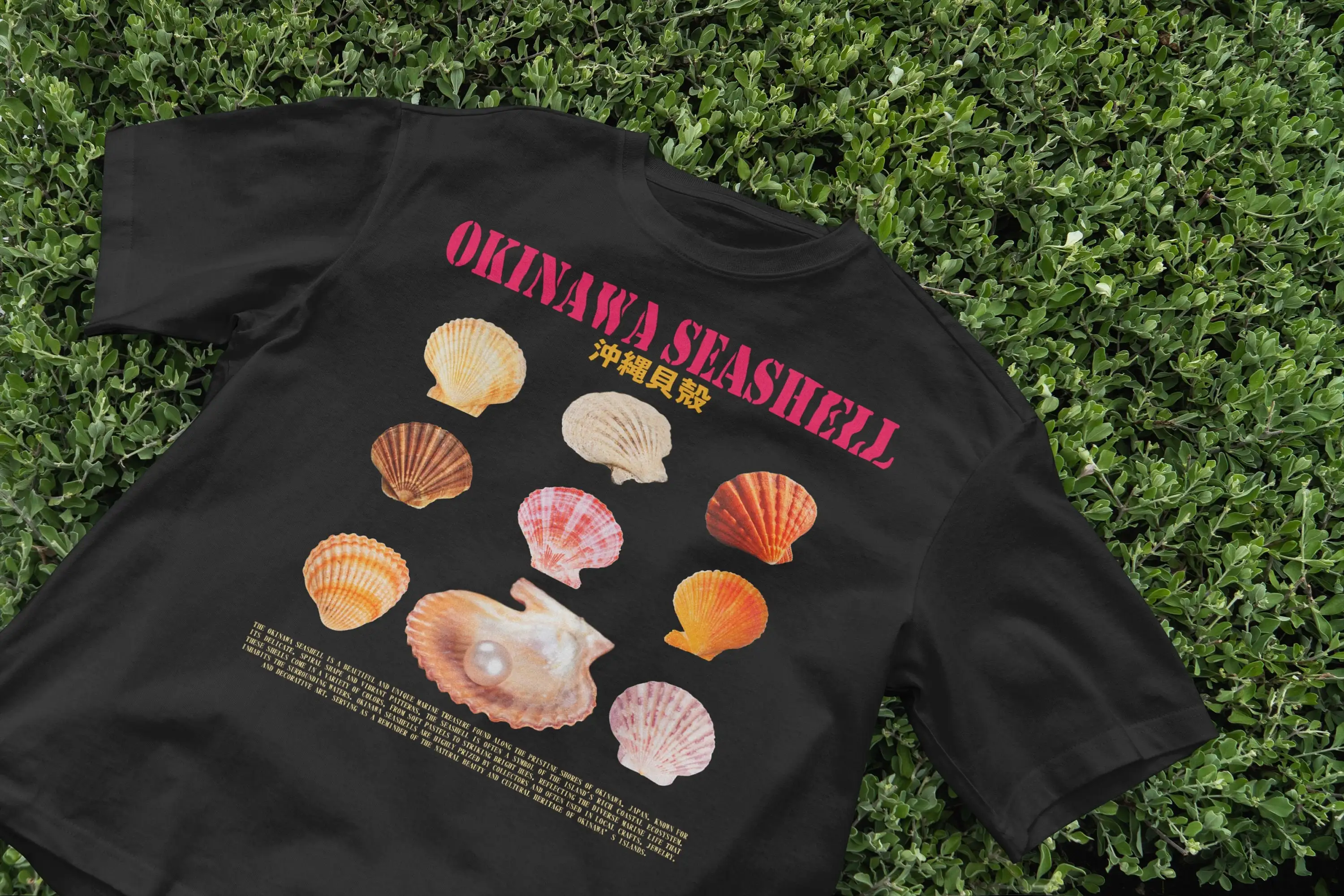 Okinawa Deniz Kabuğu Tişörtü O - Japanese Man Lifestyle incelemesi ve fiyatı